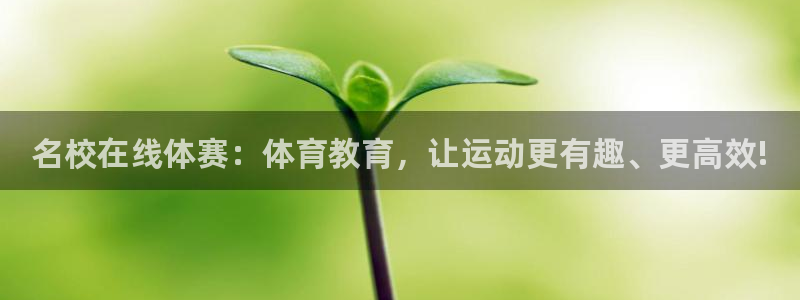 乐视体育强炜一家三口照片