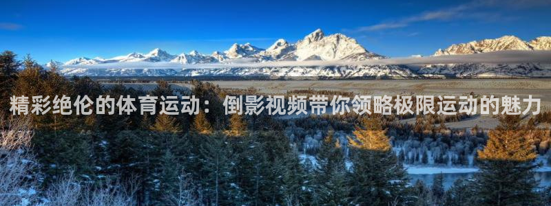乐视体育在线直播观看