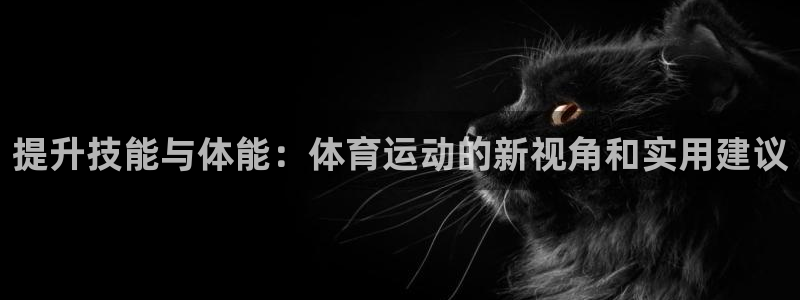 乐视体育直播NBA