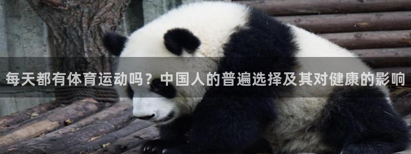 乐视体育网