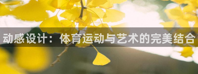 乐视体育跟中元国旅的官司