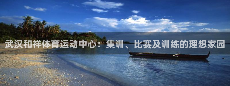 乐视体育解说NFL：武汉和祥体育运动中心：集训、比赛及训练的理想家园