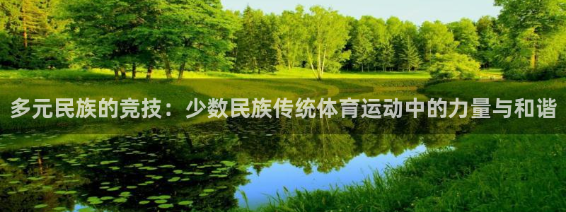 乐视体育app手机版：多元民族的竞技：少数民族传统体育运动中的力量与和谐