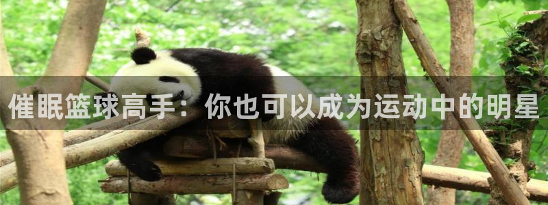 乐视体育在线直播观看nba