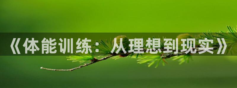 乐视体育在线直播观看：《体能训练：从理想到现实》